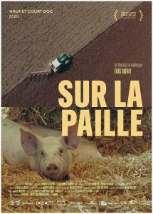 1a3d907a3c660e195af3b5209fbfe49c copie