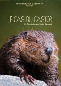 Affiche_Le cas du castor
